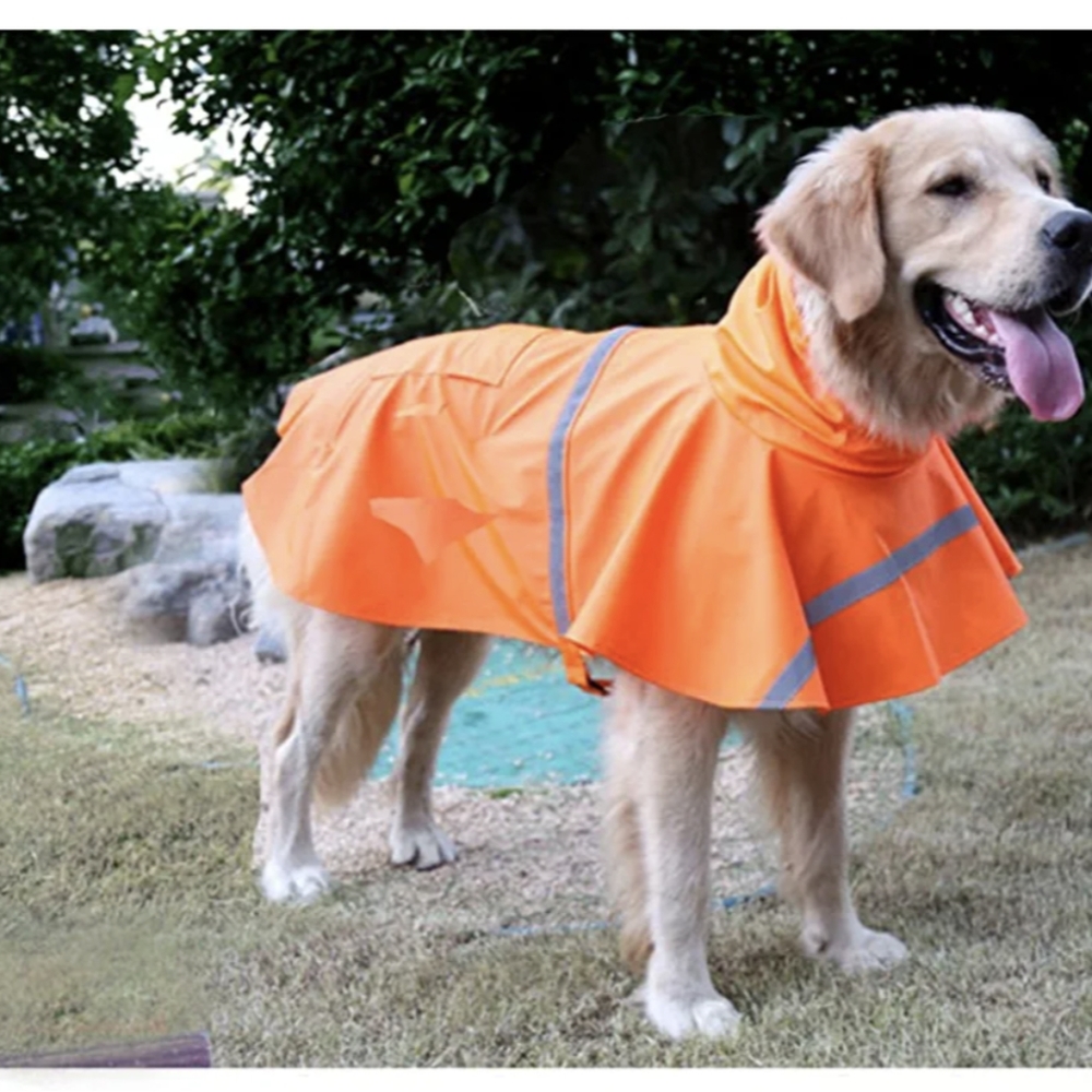Dog raincoat